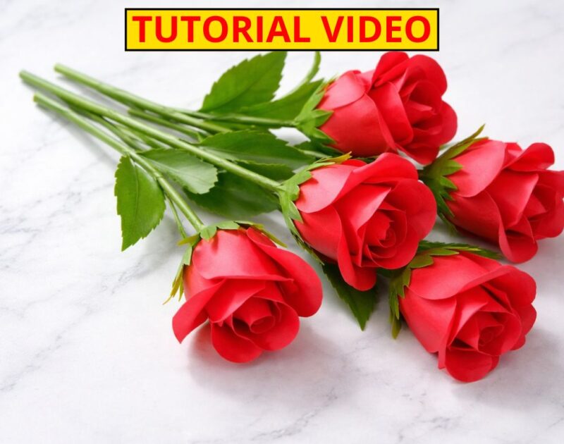 6 Smart Tips for Making a Beautiful Handmade Paper Rose