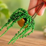 A Tiny Green Corner: The Charm of Miniature Hanging Plants