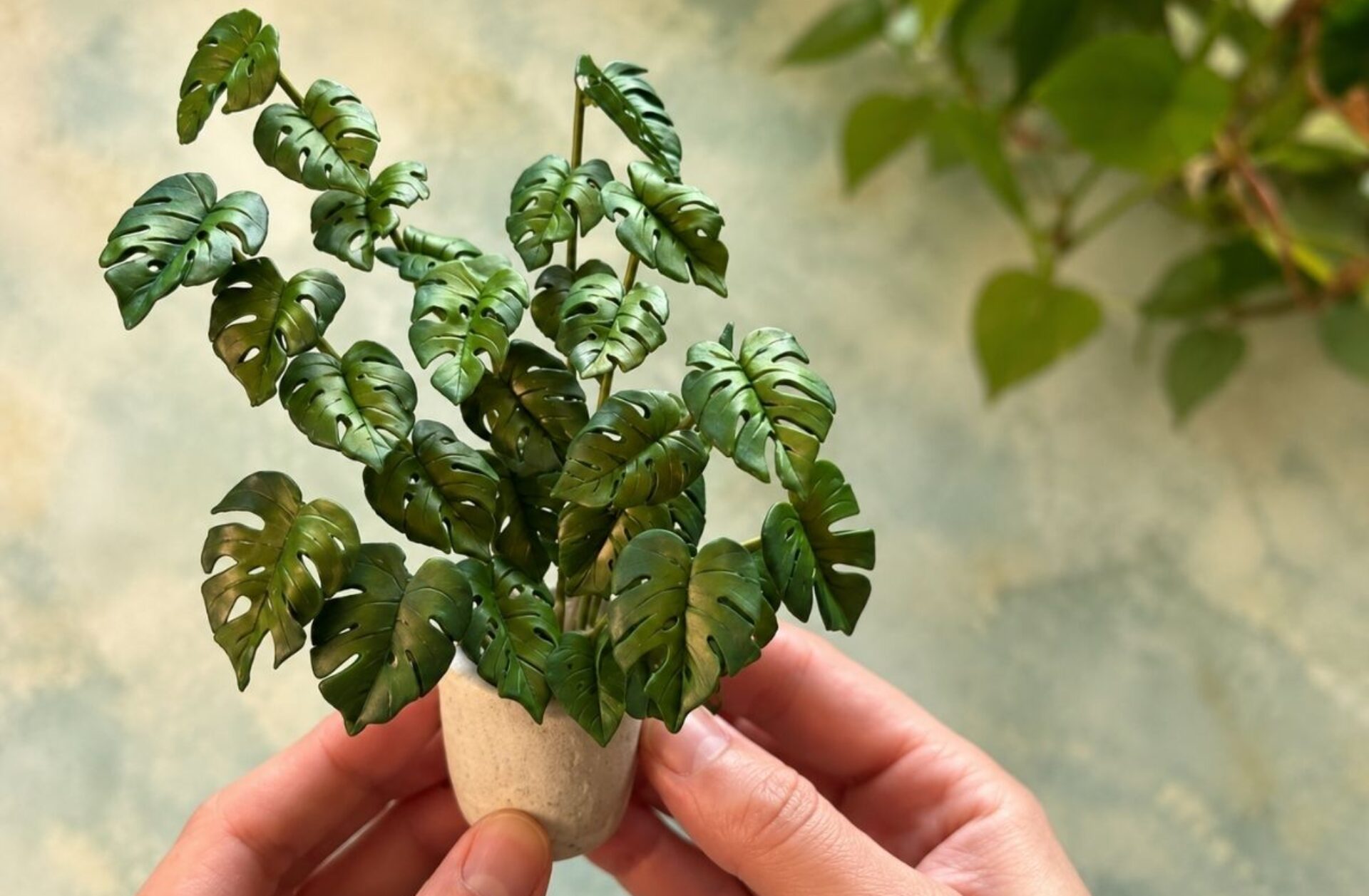 The Basics of Making a Miniature Monstera Plant