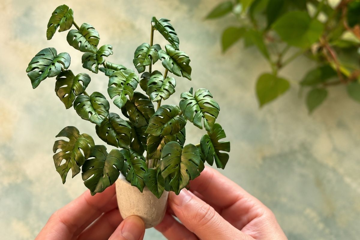 You are currently viewing The Basics of Making a Miniature Monstera Plant