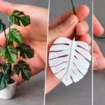 DIY Miniature Monstera Plant from a Bandage (Easy Dollhouse Tutorial)